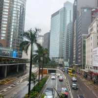 這一年讓香港從我的旅遊地，變像是生活的城市