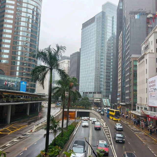 這一年讓香港從我的旅遊地，變像是生活的城市