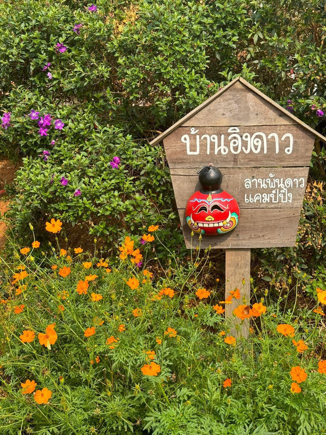 ลานพันดาวแคมป์ปิ้ง | จ.เลย 🏡⛰️🌤️🐶