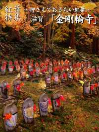 【ここ行って】国の重要文化財多数存在する紅葉スポット🍁大量のお地蔵さんも✨