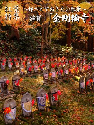 【來這裡就對了】擁有眾多國家重要文化財的賞楓景點，還有超多地藏菩薩