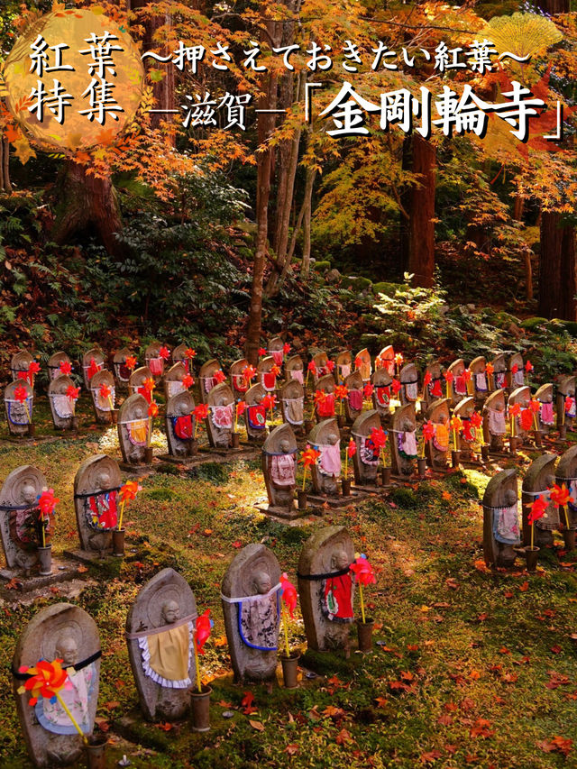 【ここ行って】国の重要文化財多数存在する紅葉スポット🍁大量のお地蔵さんも✨