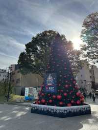 【福岡】中洲にある福岡観光で寄ってほしい場所！