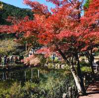  Monet's pond