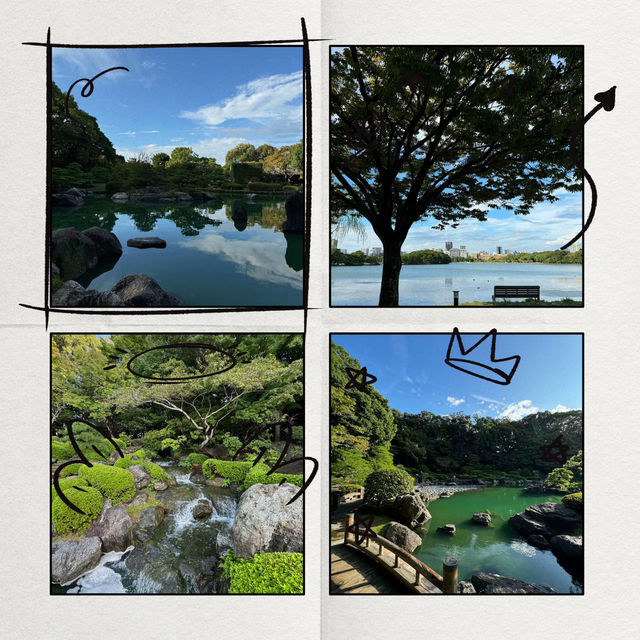 浮間公園：小橋流水🌸🏞️