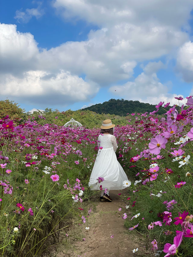 広島観光🥰美しいお花のパッチワークが素敵🥹🌸💐🫶