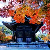【京都紅葉】見頃を迎えた京都の紅葉 南禅寺