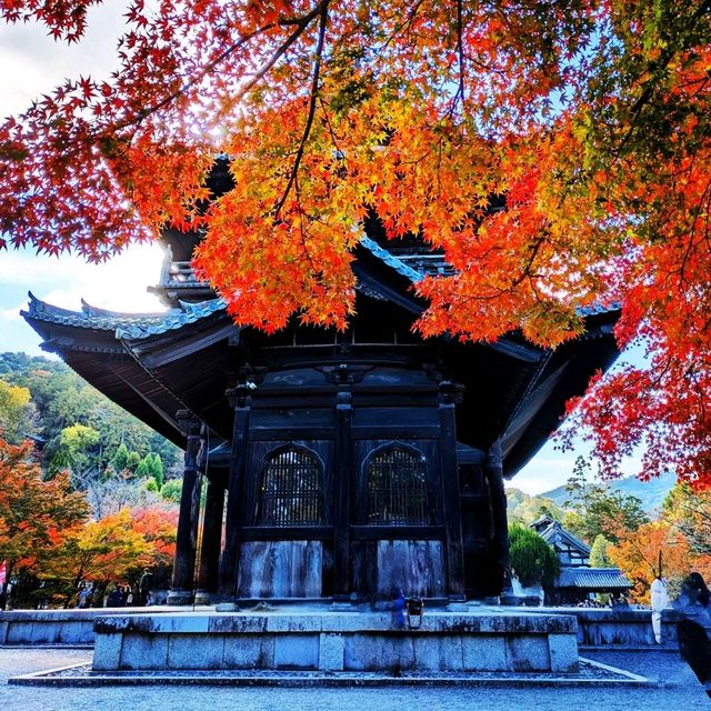 【京都紅葉】見頃を迎えた京都の紅葉 南禅寺