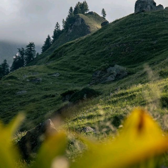 Mount Blanc