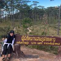 ภูสอยดาวใครบอกเดินง่ายไม่จริง !