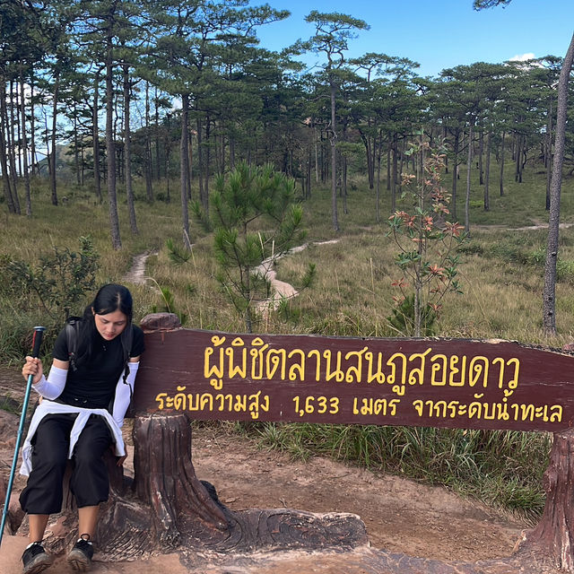 ภูสอยดาวใครบอกเดินง่ายไม่จริง !