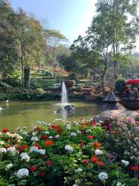 ชมดอกไม้สวนแม่ฟ้าหลวง 🌷🌼🌹🌾ธรรมชาติที่งดงาม