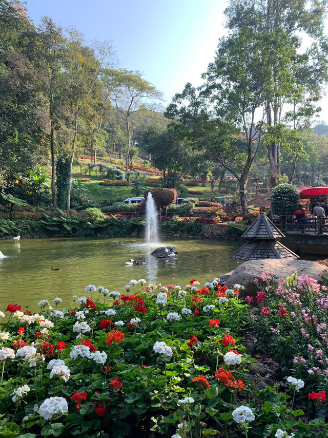 ชมดอกไม้สวนแม่ฟ้าหลวง 🌷🌼🌹🌾ธรรมชาติที่งดงาม