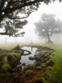 Why Madeira is Worth the Visit: A Hidden Gem of the Atlantic 