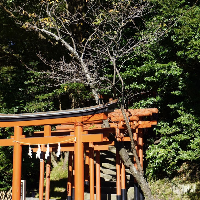 櫻宮神社：鳥居下的香火🏯