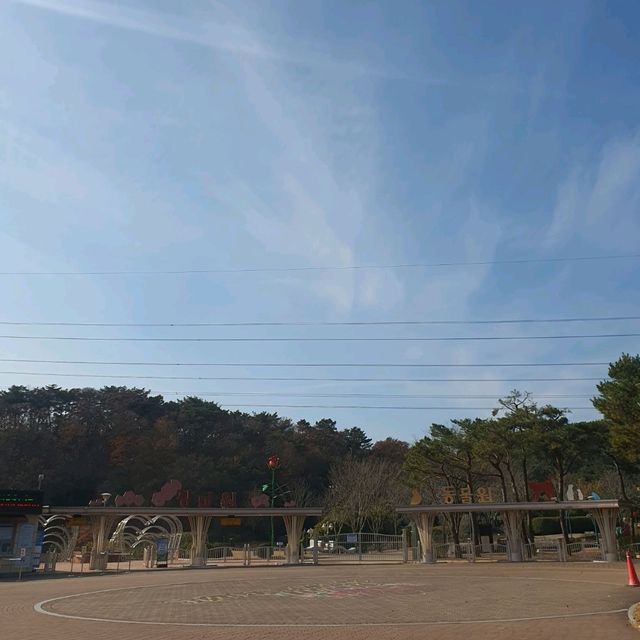 12월에도 단풍 볼 수 있는 울산대공원