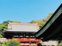 鎌倉🇯🇵鶴岡八幡宮