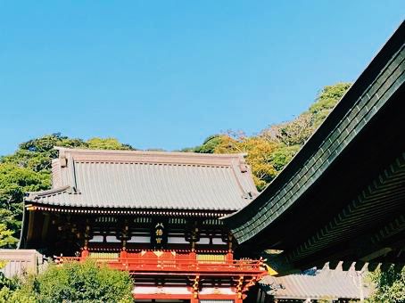 鎌倉🇯🇵鶴岡八幡宮