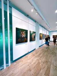 Sue Olivier's Solo Exhibition at Visual Art Centre