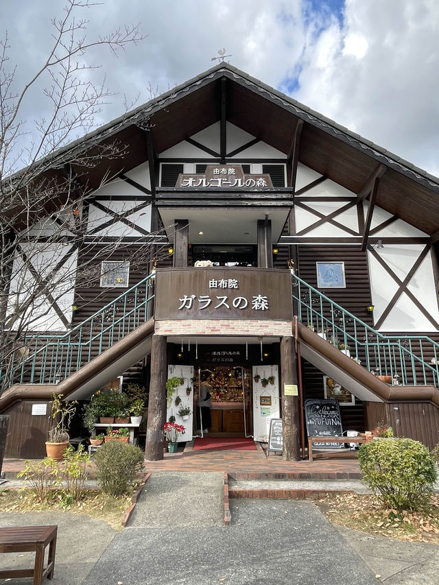 大分観光😊観光に人気のスポット😊✨湯の坪街道✨