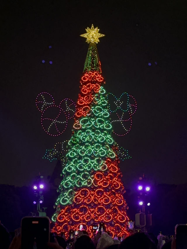 [香港　香港ディズニーランド] クリスマスイベント！