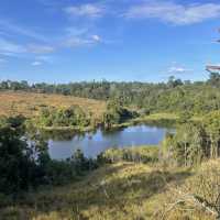 Khao Yai national park
