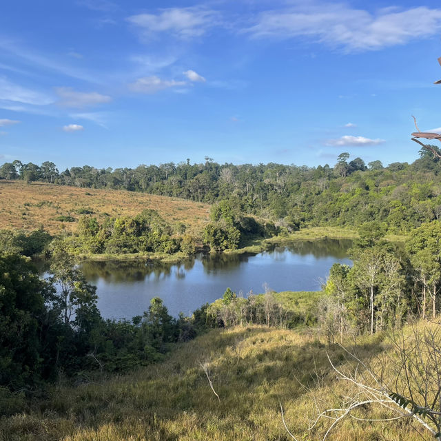 Khao Yai national park