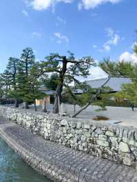 日本景點🇯🇵特式水上佛堂🩵
