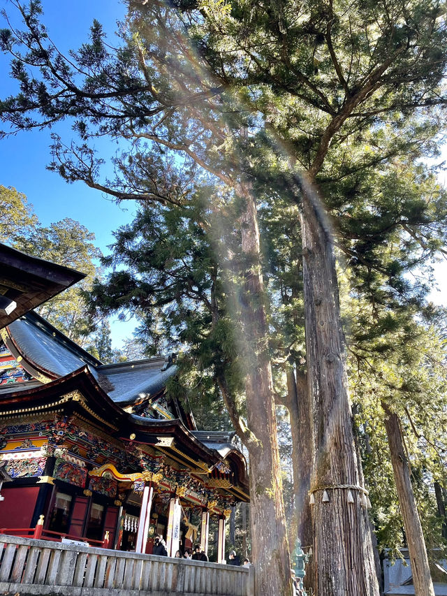 【最強のパワースポット×三峯神社】で2025年のスタートを・・