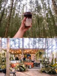 Phupha Coffee Camp คาเฟ่ลานกางเต็นท์ราชบุรี⛺️🌲