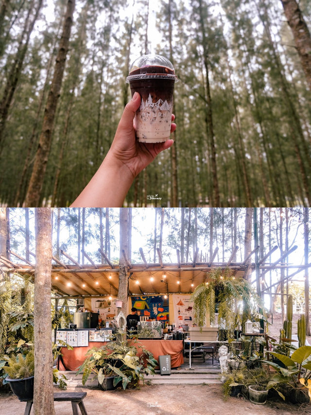 Phupha Coffee Camp คาเฟ่ลานกางเต็นท์ราชบุรี⛺️🌲