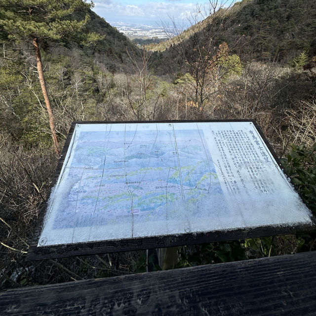 🇯🇵漫步有馬溫泉療癒之森🌲