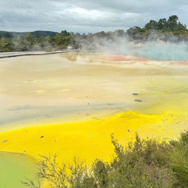 Stepping into Another World: My Visit to Rotorua’s Volcanic Wonderland!