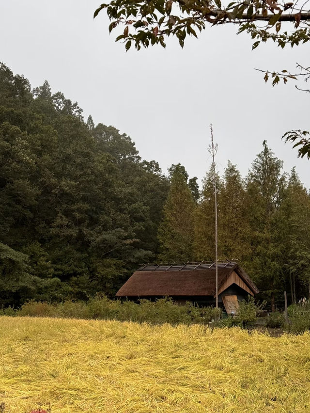 Kurokawa Onsen: Sansuimu - A Hidden Gem in Kumamoto, Japan
