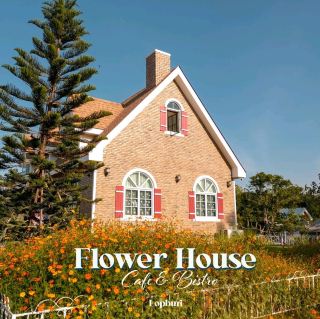 Homey cottage style cafe🌻🌼