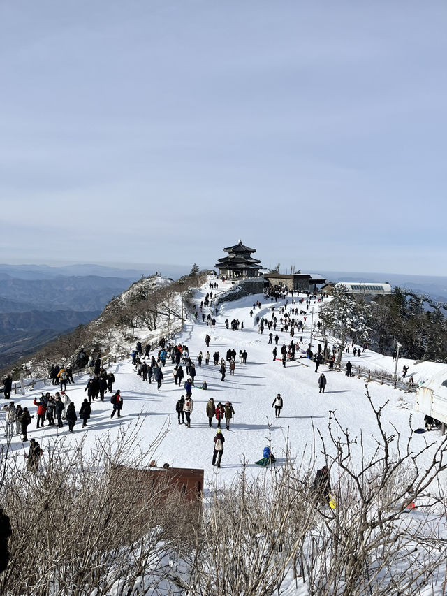 인생샷명소 겨울여행지