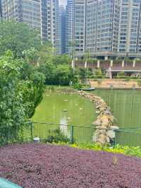 Macao Giant Panda Pavilion 