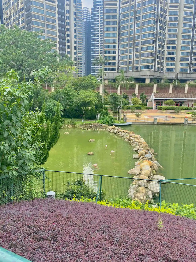Macao Giant Panda Pavilion 