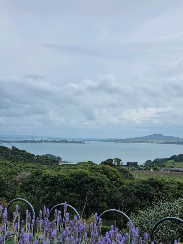 뉴질랜드 와인너리 투어🍷- MUDBRICK🇳🇿
