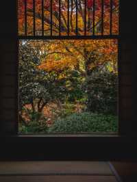  🍁 秋の源光庵で心に響くひとときを 🍂