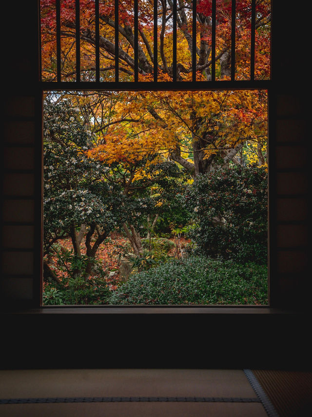  🍁 秋の源光庵で心に響くひとときを 🍂
