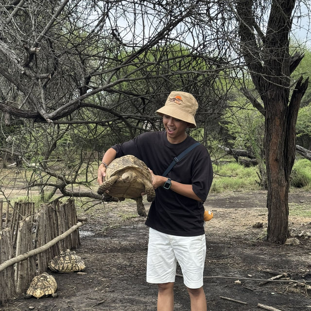 Nguuni Wildlife Sanctuary, Kenya 🇰🇪