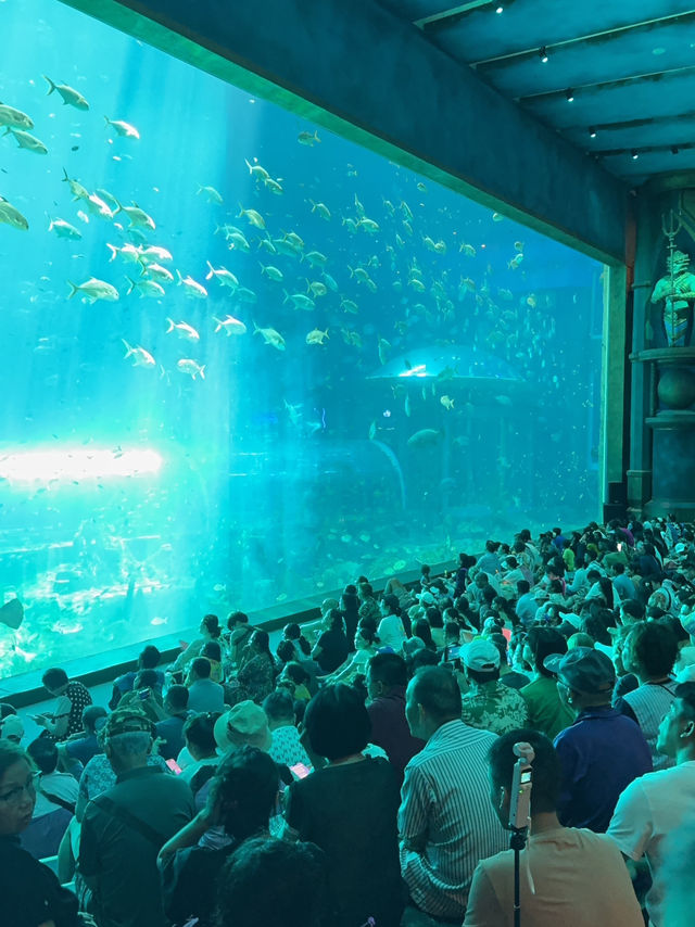 富國島VinWonders Phú Quốc 探索海洋與奇幻世界的樂園之旅