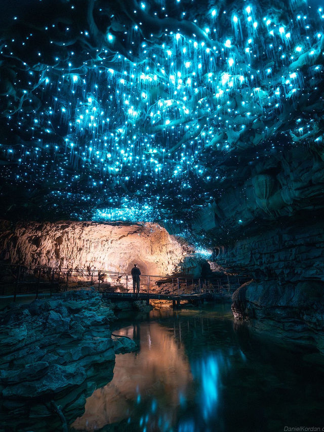 Waitomo Caves