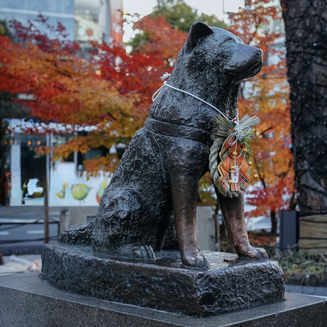 A Heartwarming Tribute to Loyalty at Hachiko's Statue