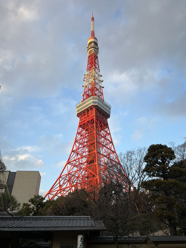 พาส่อง Teamlab borderless ใกล้ Tokyo towerกันนน✨✨