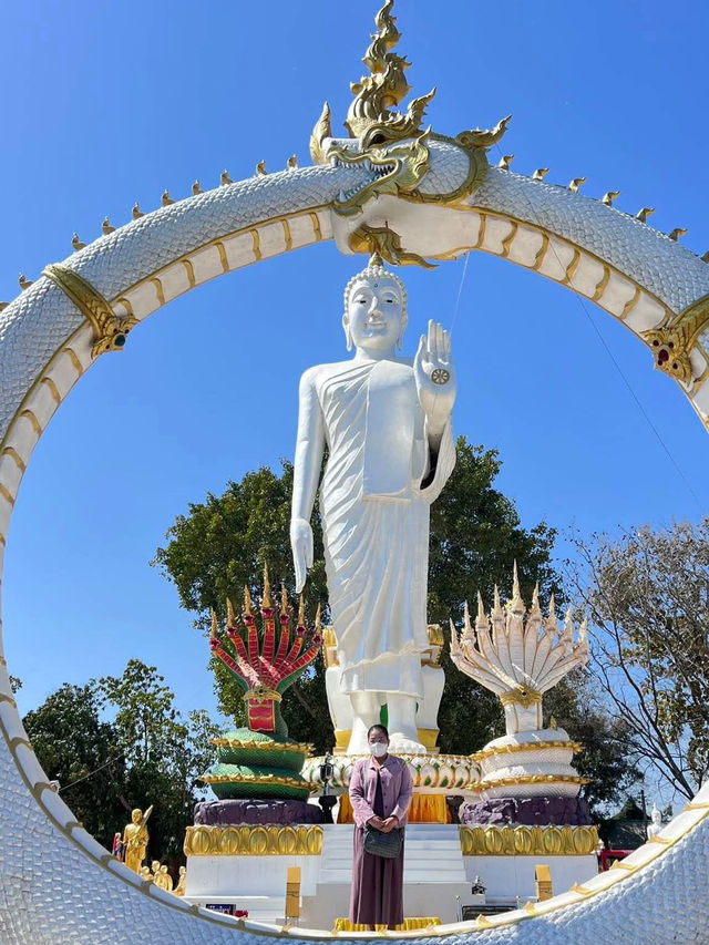 พญานาคประทานพร วัดหัวเวียงรังษี ธาตุพนม