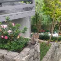 Lee Boutique Hotel; a perfect place for relaxation.