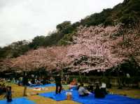 栗林公園-日本回遊式庭園代表，四國賞櫻好去處