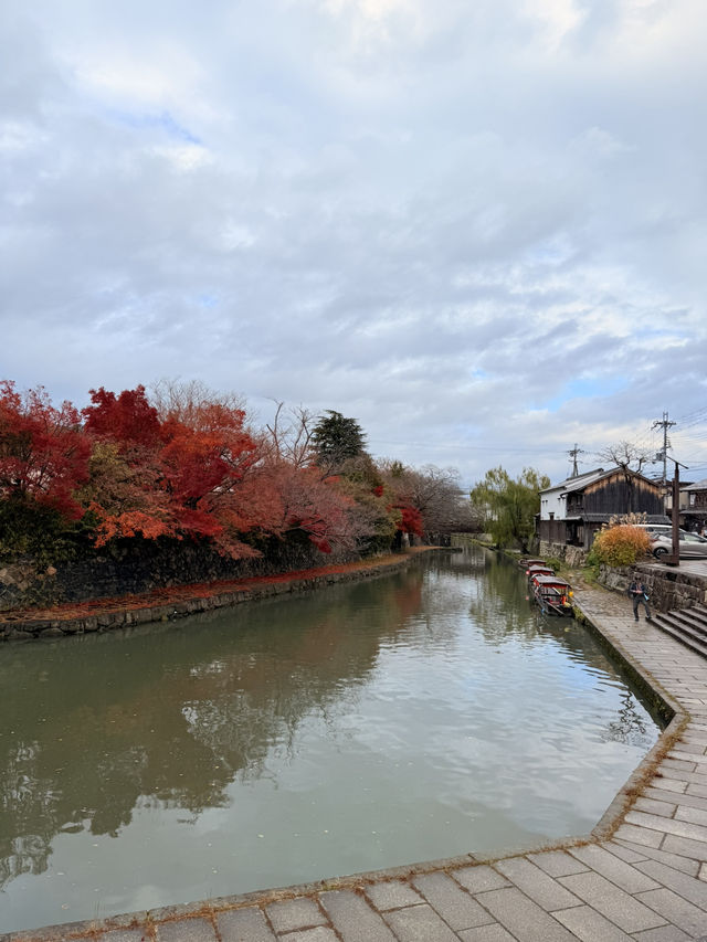 滋賀｜近江八幡水鄉風情 連接琵琶湖的昔日商業動脈